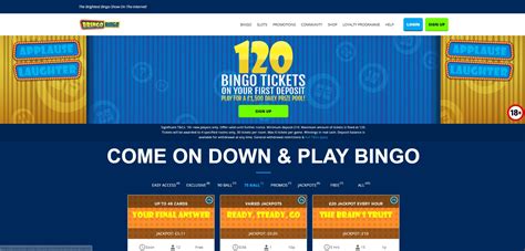 Обзор Bringo Bingo Casino  Честный обзор от Casino Guru